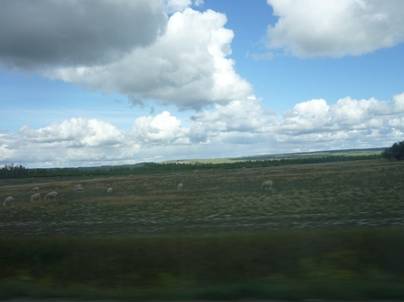 ����: ����: ����: C:\Users\Naoto\Pictures\�J�i�_���sHP�p\P1010983.jpg