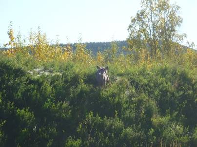 ����: ����: C:\Users\Naoto\Pictures\�J�i�_���sHP�p\P1020039.jpg