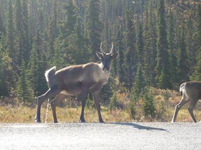 ����: ����: C:\Users\Naoto\Pictures\�J�i�_���sHP�p\P1020047.jpg