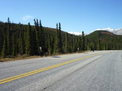 ����: ����: C:\Users\Naoto\Pictures\�J�i�_���sHP�p\P1020048.jpg