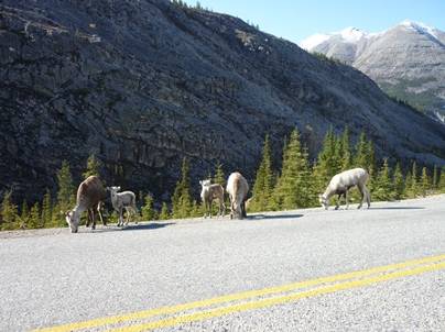 ����: ����: C:\Users\Naoto\Pictures\�J�i�_���sHP�p\P1020049.jpg