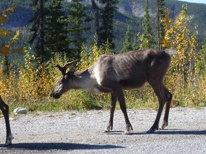 ����: ����: C:\Users\Naoto\Pictures\�J�i�_���sHP�p\P1020052.jpg