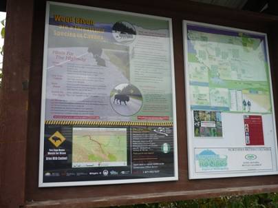 ����: ����: C:\Users\Naoto\Pictures\�J�i�_���sHP�p\P1020062.jpg