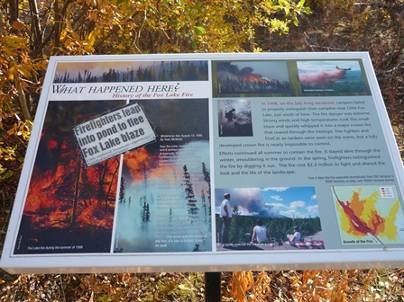 ����: C:\Users\Naoto\Pictures\�J�i�_���sHP�p\P1020147.jpg