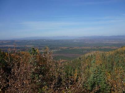 ����: C:\Users\Naoto\Pictures\�J�i�_���sHP�p\P1020169.jpg