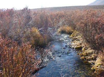 ����: C:\Users\Naoto\Pictures\�J�i�_���sHP�p\P1020248.jpg