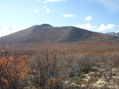 ����: C:\Users\Naoto\Pictures\�J�i�_���sHP�p\P1020252.jpg