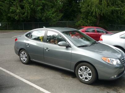 ����: ����: ����: ����: ����: ����: C:\Users\Naoto\Pictures\�J�i�_���sHP�p\P1010649.jpg