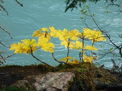 ����: ����: ����: C:\Users\Naoto\Pictures\�J�i�_���sHP�p\P1010722.jpg