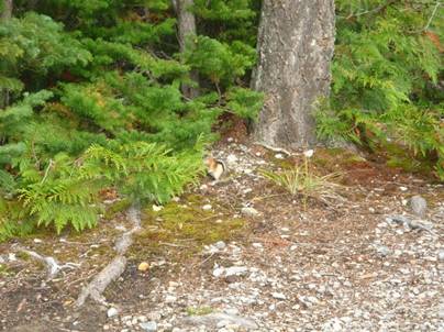 ����: ����: ����: C:\Users\Naoto\Pictures\�J�i�_���sHP�p\P1010748.jpg