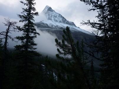 ����: ����: ����: C:\Users\Naoto\Pictures\�J�i�_���sHP�p\P1010789.jpg