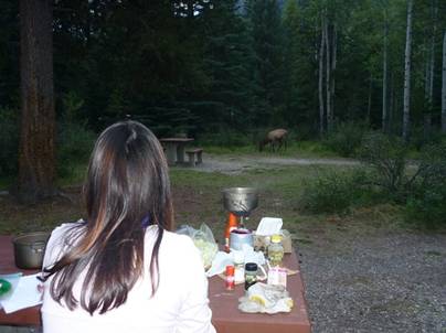 ����: P1010834