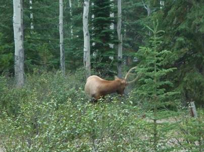 ����: P1010836