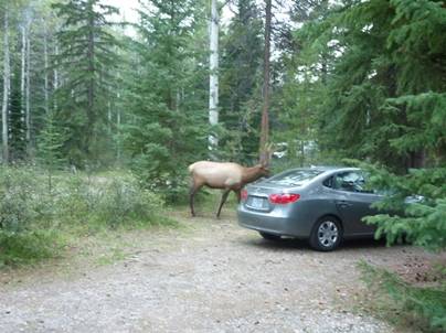 ����: P1010837