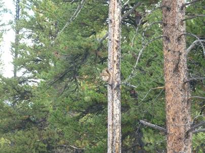 説明: 説明: P1010855