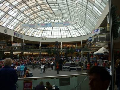 ����: ����: P1010904